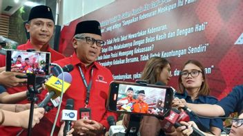 PDIP Has Not Determined Anies Or Ahok In The Jakarta Gubernatorial Election