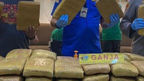 Penyelundupan Ganja 200 Kg dari Aceh ke Jakarta Digagalkan Polisi