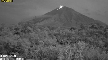 L’éruption du mont Semeru avec une éruption allant jusqu’à 400 mètres