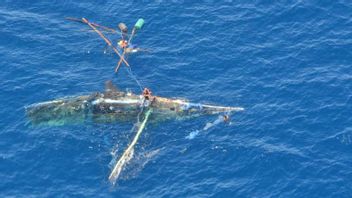 NTT渔夫沉船获救到澳大利亚医院