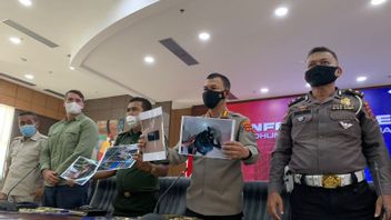بيع نادرة مثل قطط الغابات والبنغول عبر فيسبوك، شباب في غرب سومطرة مهددون بالسجن 5 سنوات