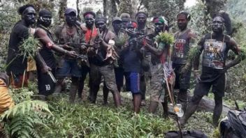 Kodam XVIII / Kasuari Kejah 5 Pétolans de l’organisation Papouasie Merdeka Attaque Tni à Bintuni