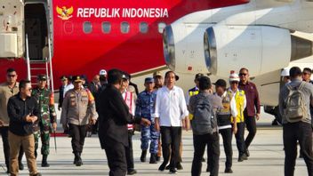 Returning To IKN, Jokowi's Agenda Today: Airport Trial To Inaugurate The State Palace