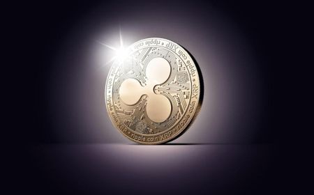 CEO Ripple (XRP) Brad Garlinghouse Sebut Ini Adalah Tahun Terbaik untuk XRP