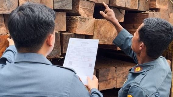 Gakkum Kemenhut Tangkap Pemilik Ratusan Batang Kayu Ilegal dari Morowali Utara