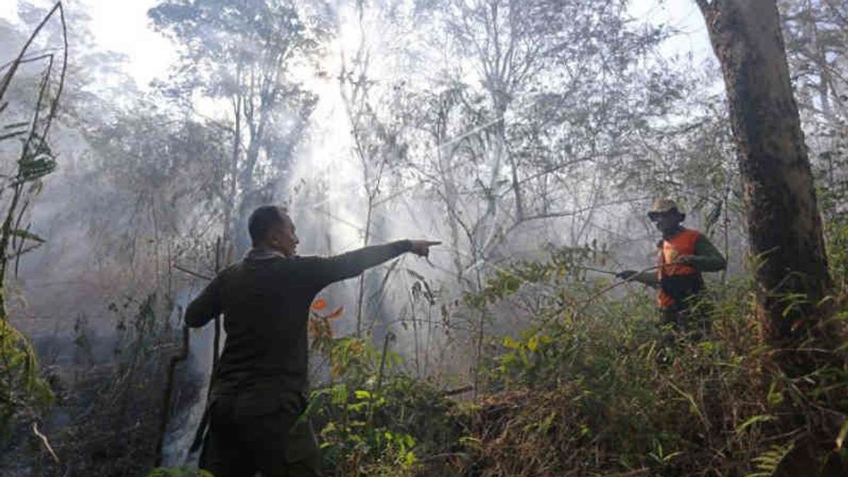 150 Petugas Gabungan Berjibaku Padamkan Api di Kawasan Lereng Gunung Ciremai Jabar