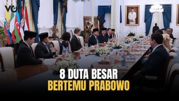 Presiden Prabowo Terima Surat Kepercayaan dari 8 Duta Besar Negara Sahabat