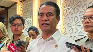 Arief Prasetyo Adi Lengser, Mentan Amran Sulaiman Ambil Alih Kendali Badan Pangan Nasional