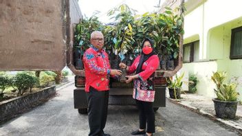    إرسال 6 آلاف بذرة جيليبير دوريان إلى منطقة IKN Nusantara