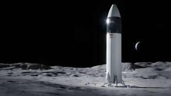 NASA、アルテミス 5 号ミッションで月のサンプルを保管するための冷蔵庫が必要