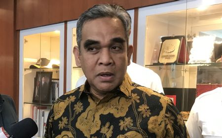 Riza Patria Batal Maju Cawalkot Tangsel, Gerindra: Fokus Menangkan RK di Pilgub Jakarta