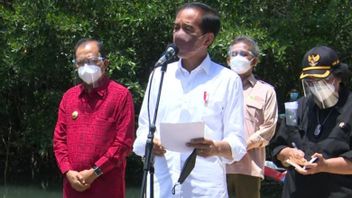 Le Président Jokowi Veut Que D’autres Régions Donnent Des Exemples De Réhabilitation De La Mangrove De Bali