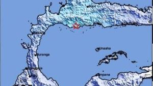 Gempa Magnitudo 5,3 Guncang Parigi Moutong Sulteng, BPBD Sebut Tak Ada Kerusakan Bangunan