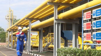 Pertamina Gas Subholding Target, Distributes 14 BBTUD Gas Until The End Of 2021