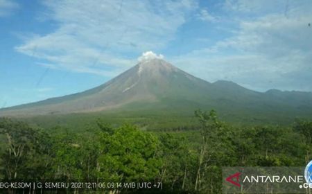 Bagaimana Aktivitas Gunung Semeru Sejak Tengah Malam Tadi?