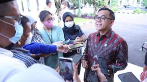 Diperintah Jokowi, Menpan RB Bahas Opsi Alternatif Soal Honorer Bersama Asosiasi Pemda