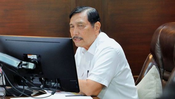 Luhut: Setelah Vaksinasi Rabu Besok, 3 Bulan Kemudian COVID-19 Bisa Melandai