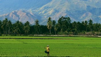Development In Ngawi Don't Disturb This Regional Status Is A Food Sovereignty Guard