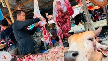 Harga Daging Sapi di Aceh Barat Terjun Bebas 
