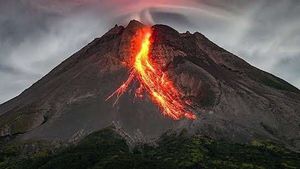 Merapi Level Siaga, Guguran Lava Capai 1.800 Meter