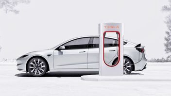 Tesla Pastikan Tak Ada Penyegaran Model Y untuk Pasar Amerika Utara di Tahun 2024