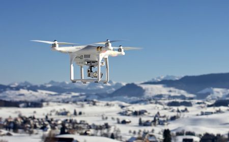 Peneliti Sebut Desain Drone di Masa Depan Bisa Mengadopsi Capung