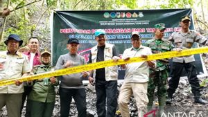 BBTNLL Libatkan Pemkab Sigi Tutup Aktivitas PETI di Sibowi Tanambulava