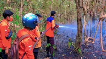 30 Hektare Lahan di OKU Timur Terbakar dalam 2 Pekan