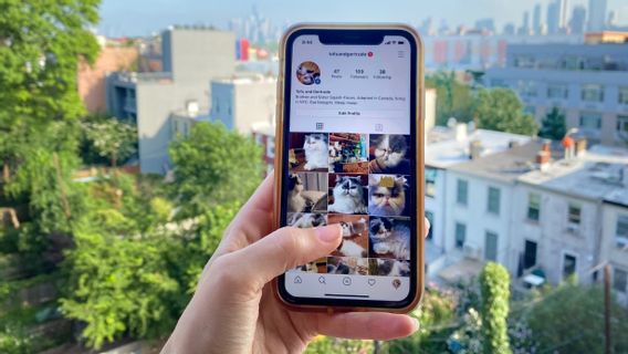 Cara Unduh Foto Instagram Tanpa Aplikasi Tambahan, Gampang Banget!