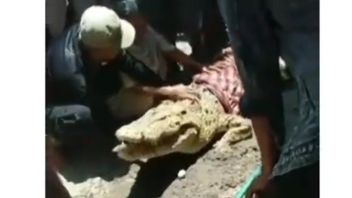 Le Mythe Du Jumeau Humain Qui A Fait Des Crocodiles à Kolaka Dibelai-belai, Disarungi Warga