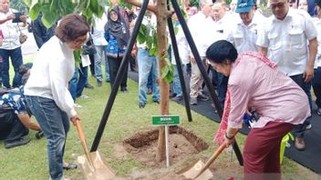 Sekop,Megawati Planting a tree in Balairung UGM Hall