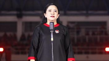 Puan: Kecintaan Ketum PDIP Ibu Megawati ke Presiden Jokowi Tak Akan Luntur