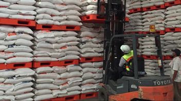 إنتاج الأرز حتى أكتوبر 2025 فائض قدره 3.7 مليون طن ، فقط مع الحفاظ عليه دون استيراد