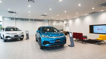 Negative Trend for 8 Months, BYD Rely on Global Market to Survive