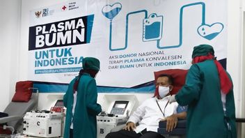 SIG Dukung Program Erick Thohir soal Program Plasma BUMN untuk Indonesia