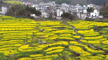 Wisata Emosional Jadi Tren Baru di China, Turis Tak Lagi Cuma Mengejar Pemandangan