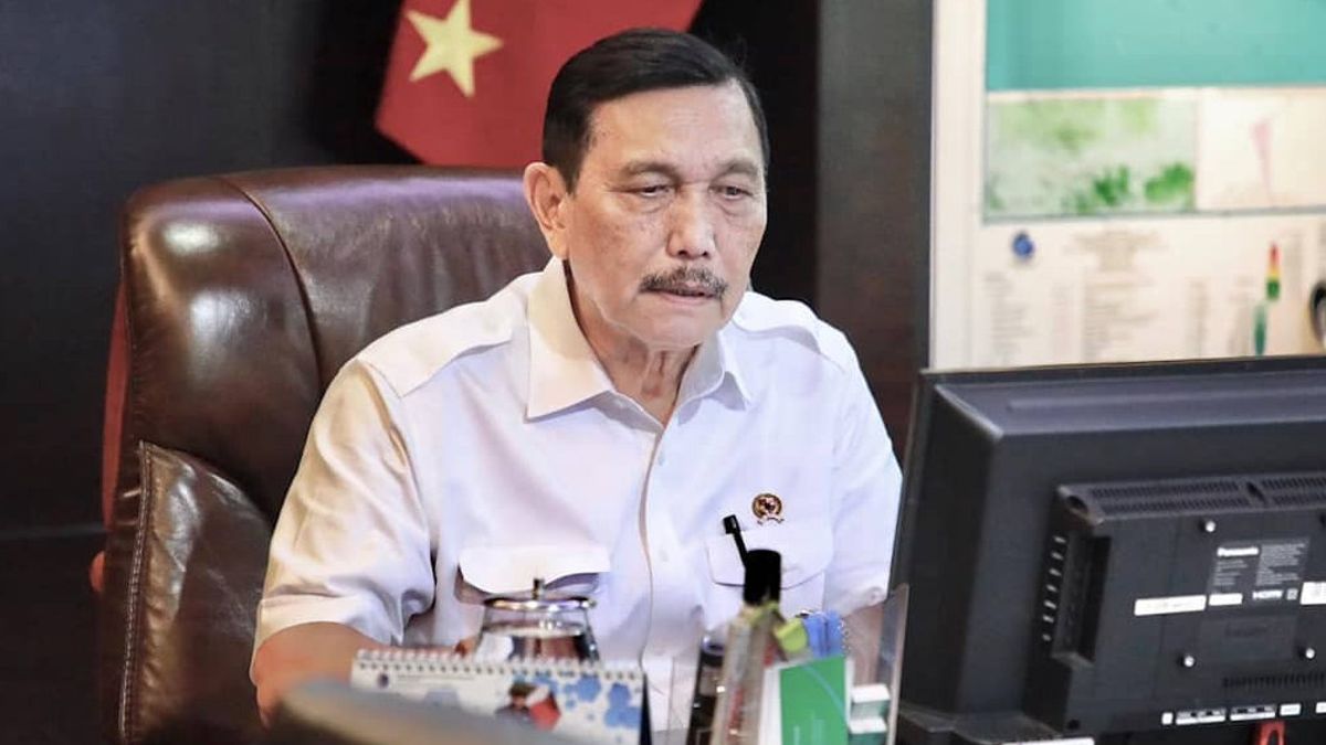 Luhut: Want To Quickly Overcome COVID-19? Just Imitate Germany And Taiwan