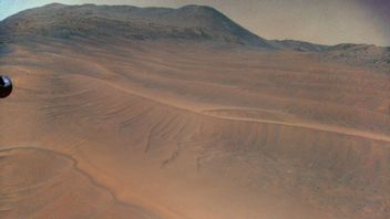 イーロンマスクが火星に人間を送る計画は批判、大英天文学者:これが危険な幻想です