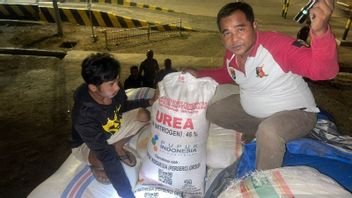The Smuggling Of 12 Ton Subsidy Fertilizers In NTB Is Revealed, Perpetrators Use Police Kelabuhi Rice Stabbing