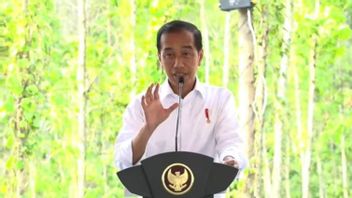 Jokowi Admits Local Investors Are Bonding To Investment In IKN