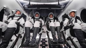 Crew-7 Sampai di ISS, Bersiap Memulai 200 Eksperimen di Luar Angkasa