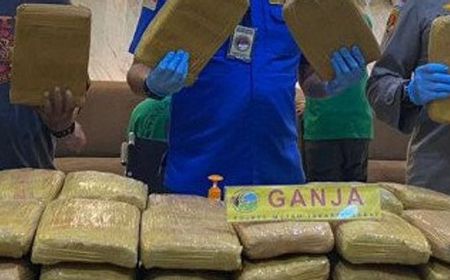 Penyelundupan Ganja 200 Kg dari Aceh ke Jakarta Digagalkan Polisi