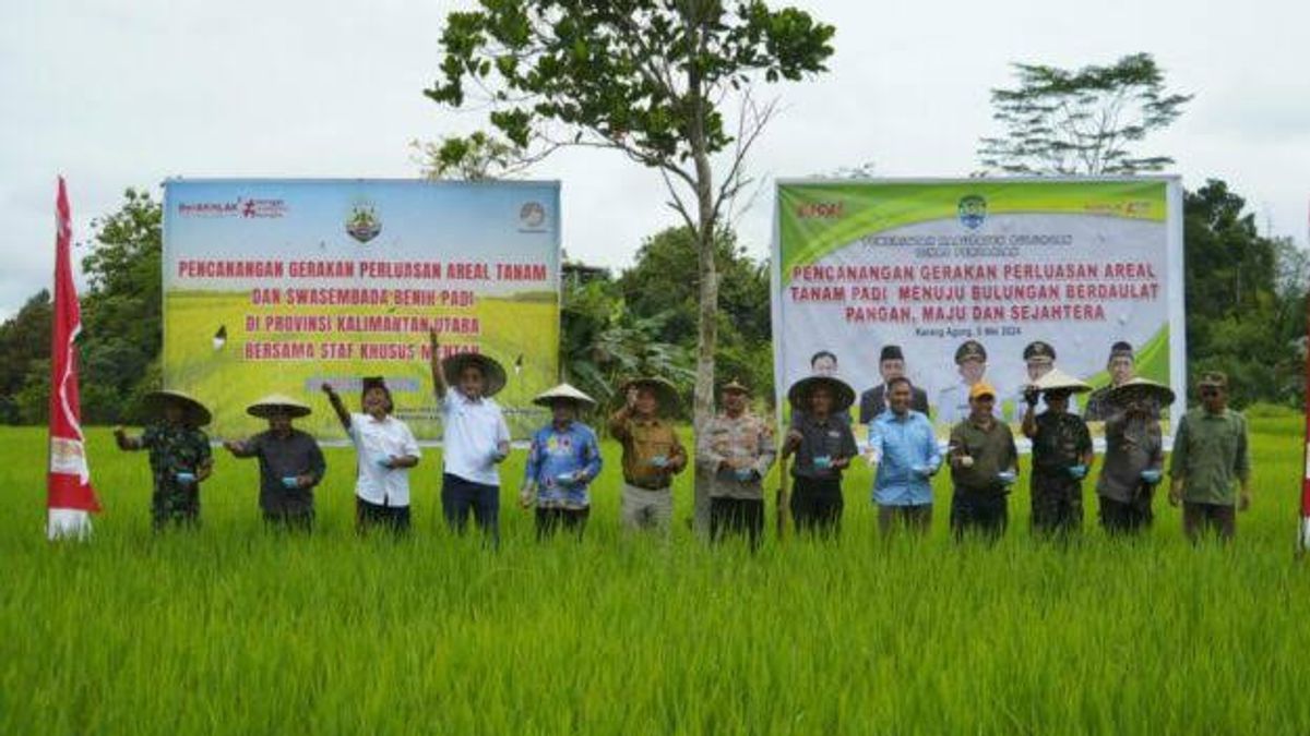 Ministry Of Agriculture Supports The Opening Of 10 Thousand Hectares Of Agricultural Land In Kaltara