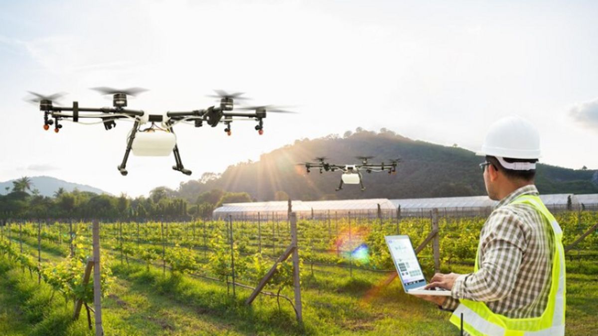 无人机在农业劳动力中的好处,从土地准备到作物健康分析