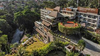 2020年1月巴厘岛酒店客房入住率下降