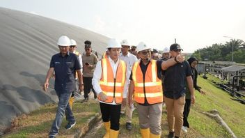 Menteri LH Minta PalmCo Manfaatkan Perdagangan Karbon