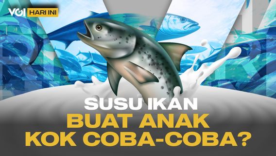 VOI Hari Ini: Susu Ikan Tak Layak Masuk Program Makan Bergizi Gratis?