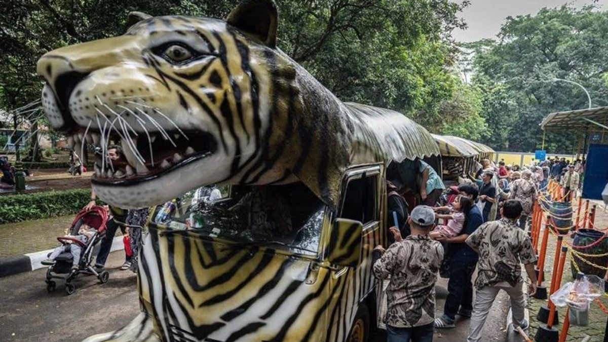 Isu 10 Kg Daging Dibawa Pulang Petugas Setiap Hari, Pihak Ragunan Buka Pintu ke Pramono Gelar Sidak 