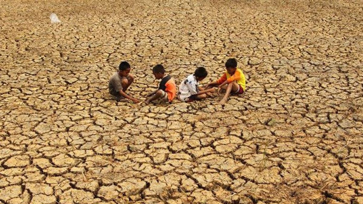 極端な降雨不足カテゴリーに含まれる7つの州の38の地域のリスト、最長の東スンバ