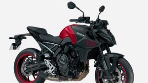 Suzuki Segarkan GSX-8R dan GSX-8S dengan Warna Lebih Berani